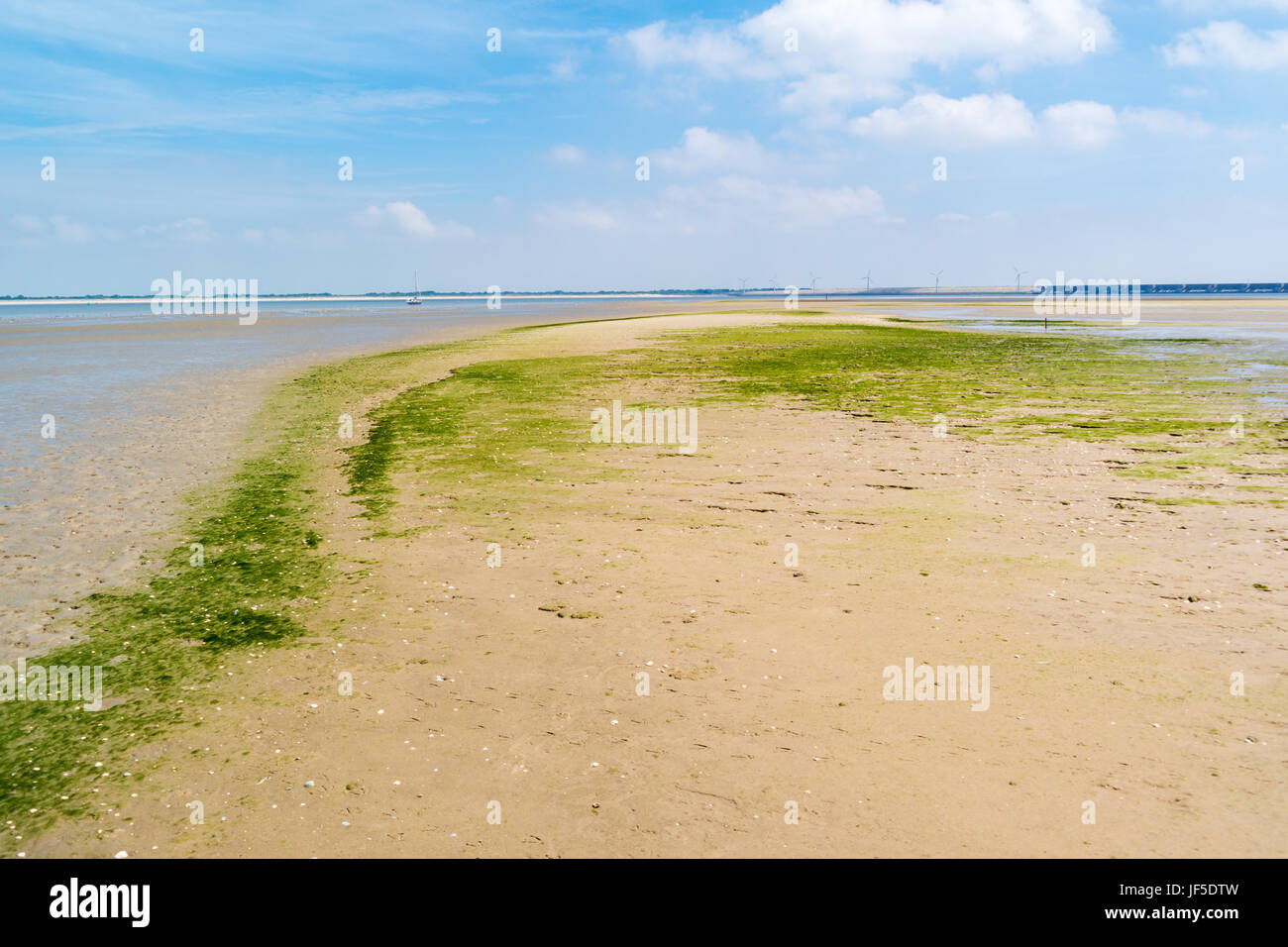 Panorama di sandflat e paesaggio mudflat a bassa marea, riserva naturale vicino Haringvlietdam e il porto di Rotterdam, Paesi Bassi Foto Stock
