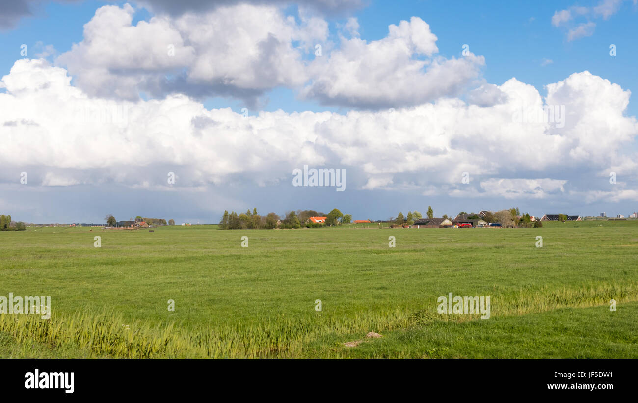 Paesaggio di Polder con le aziende agricole e i pascoli in Groene Hart, cuore verde del Randstad Olandese, South Holland, Paesi Bassi Foto Stock