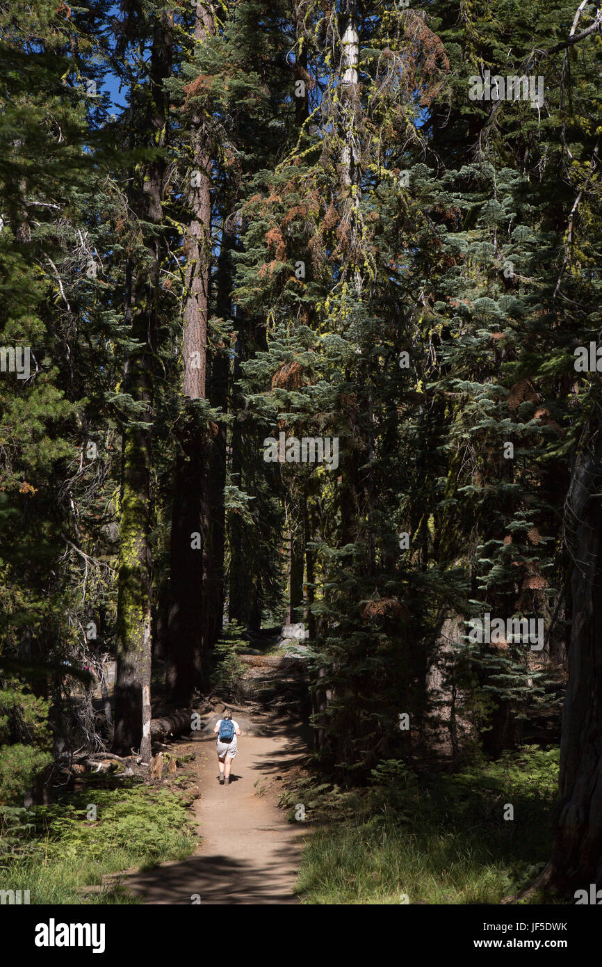 Un escursionista passeggiate a piedi il sentiero che conduce a Taft punto nel Parco Nazionale di Yosemite. Foto Stock