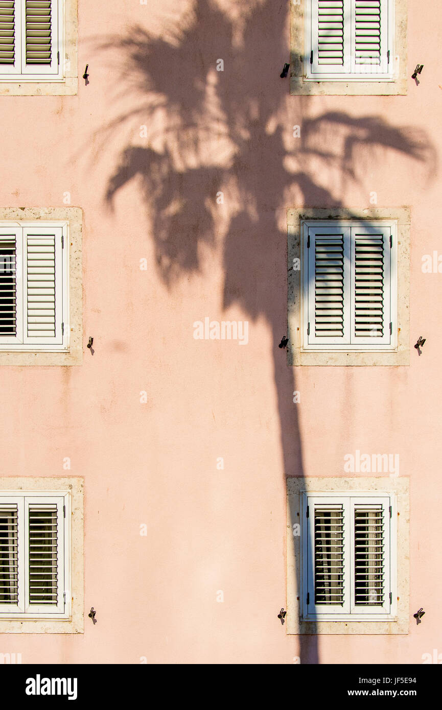 Un'ombra di una palma sulla parete esterna di una casa rosa lungo la Plaza Ispod Duvana, Korcula, Croazia Foto Stock