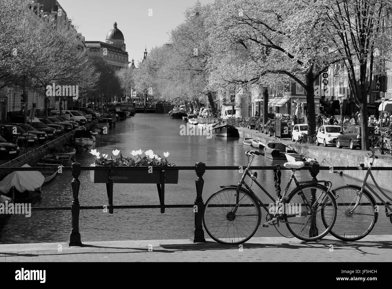 La città di Amsterdam, Paesi Bassi Foto Stock