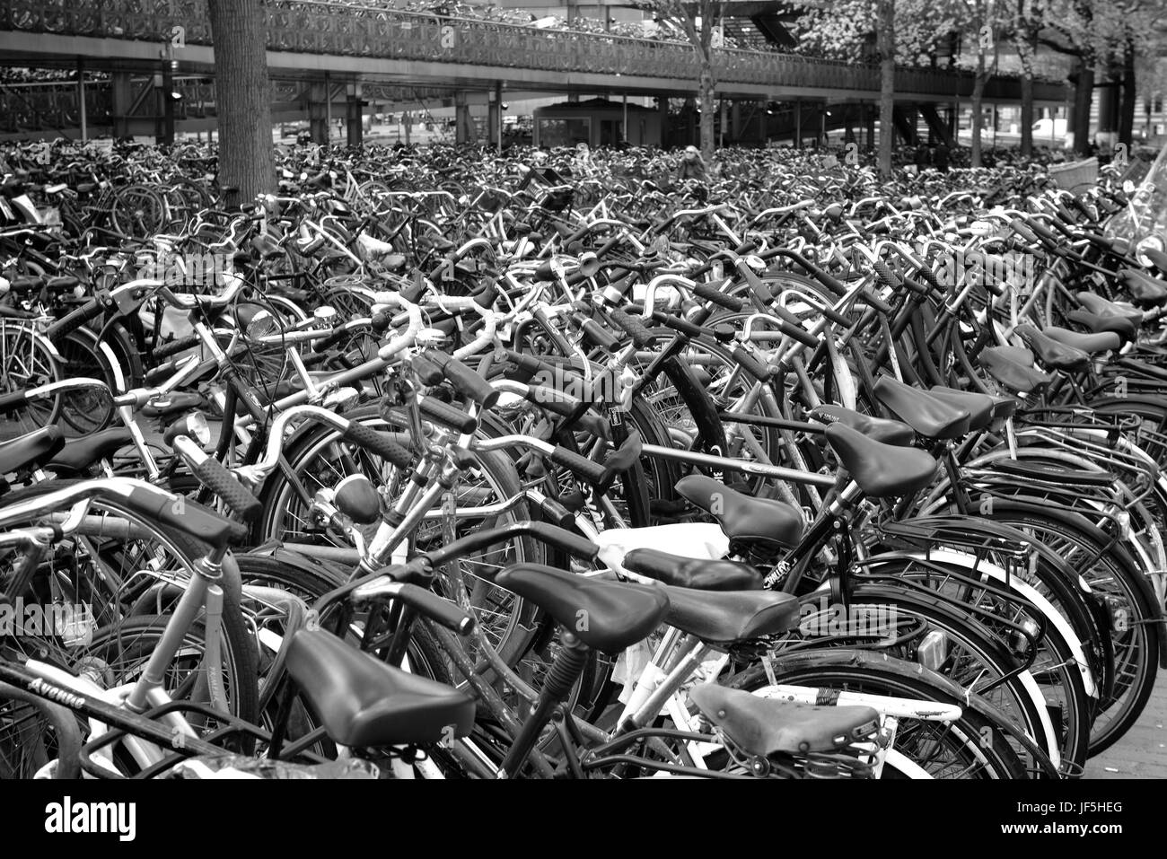 La città di Amsterdam, Paesi Bassi Foto Stock