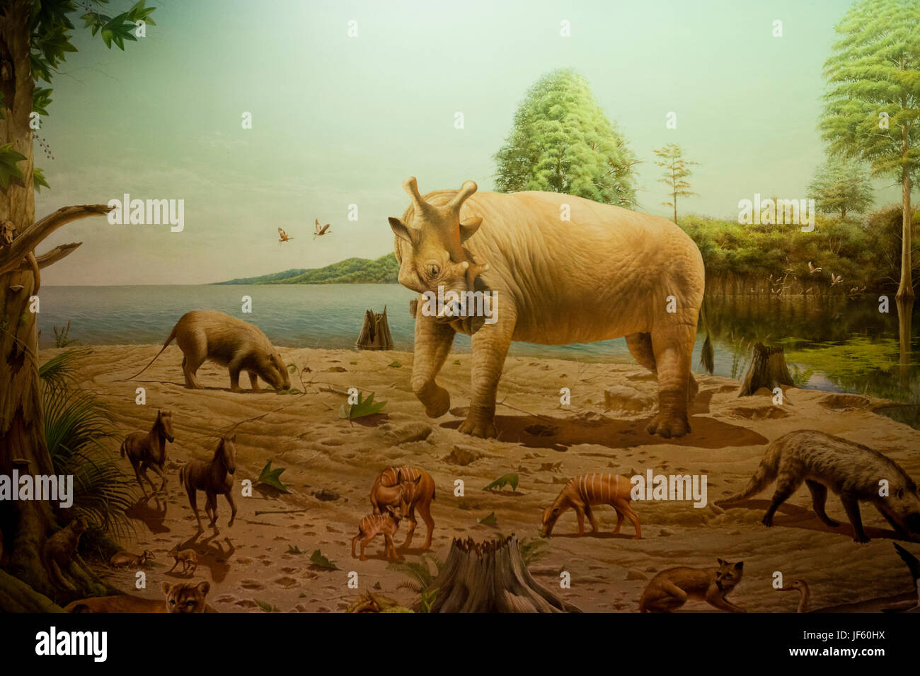 Artista raffigurazione di mammiferi dell'Oligocene epoch, Paleogene periodo (animali preistorici, mammiferi preistorici Foto Stock
