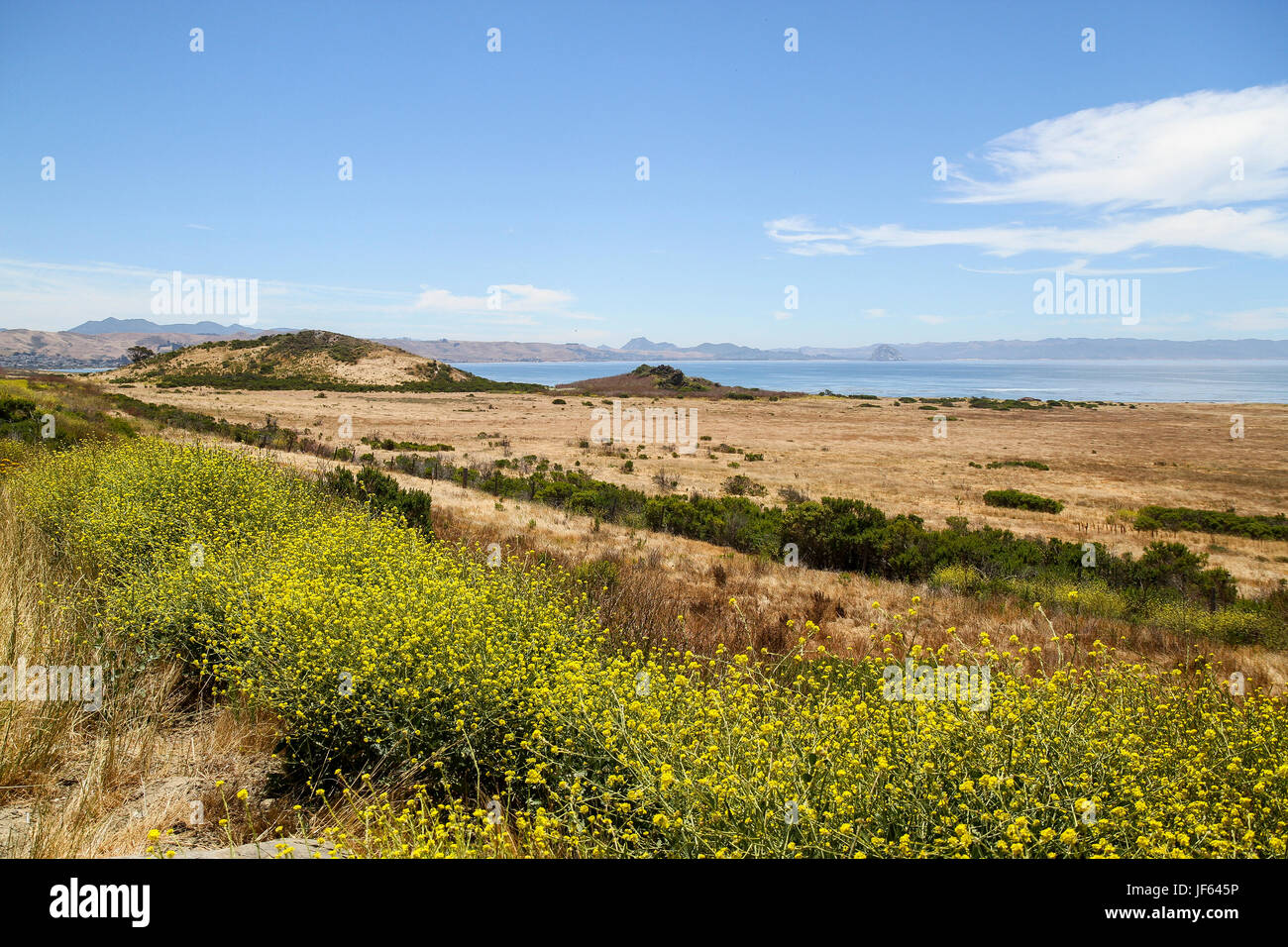 Paesaggio dall'oceano, San Luis Obispo County, California, Stati Uniti, America del Nord Foto Stock
