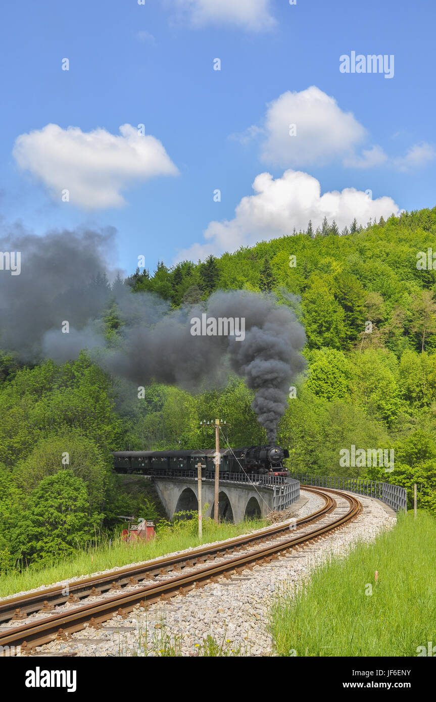 Treno a Vapore nella foresta sveva, Germania Foto Stock