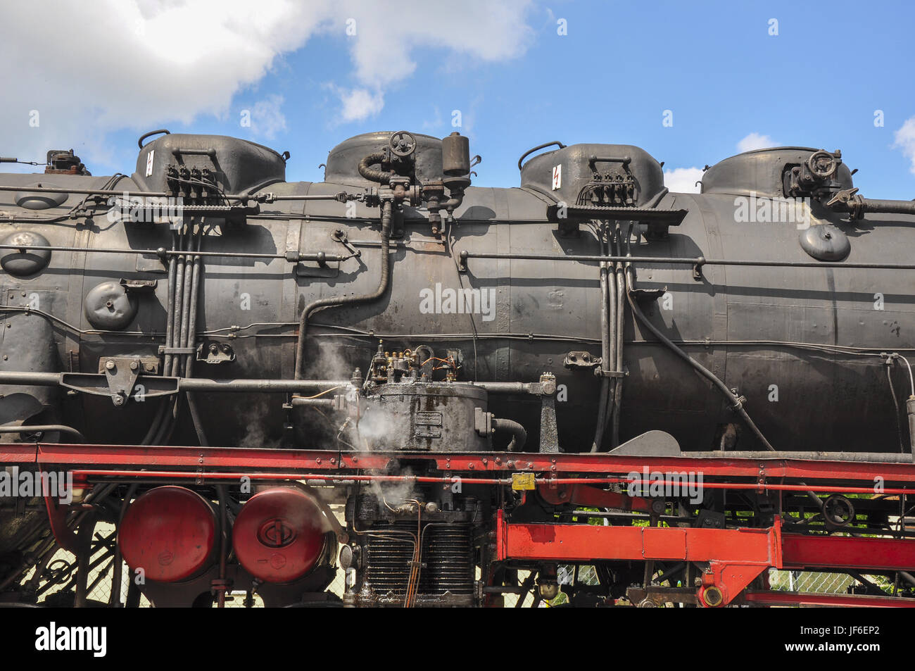 Treno a Vapore nella foresta sveva, Germania Foto Stock