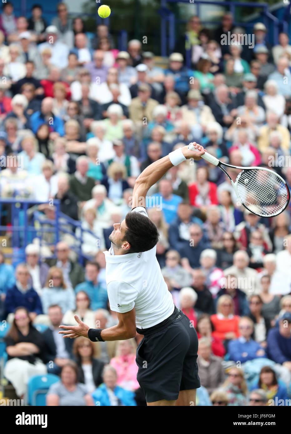 La Serbia Novak Djokovic in azione durante il settimo giorno dell'AEGON International al Devonshire Park, Eastbourne. PREMERE ASSOCIAZIONE foto. Data immagine: Giovedì 29 giugno 2017. Vedi PA storia TENNIS Eastbourne. Il credito fotografico dovrebbe essere: Gareth Fuller/PA Wire. . Foto Stock