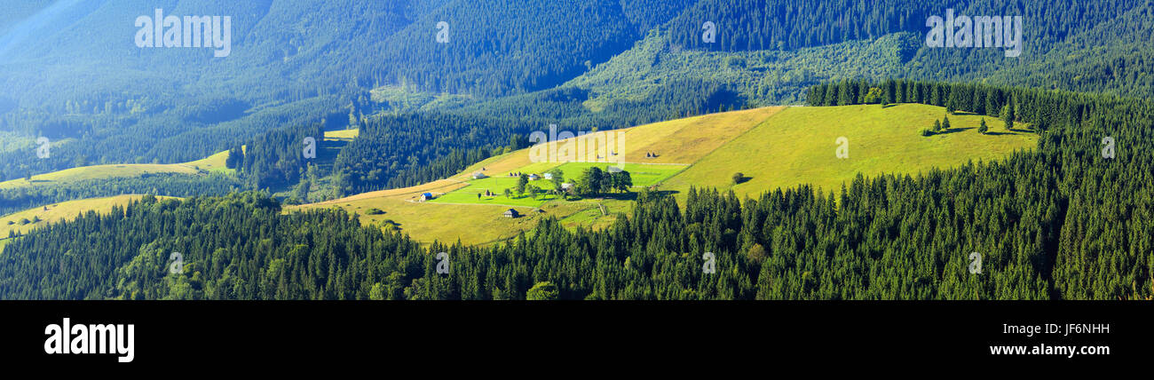 Estate Mountain View (Carpazi, Ucraina). Foto Stock