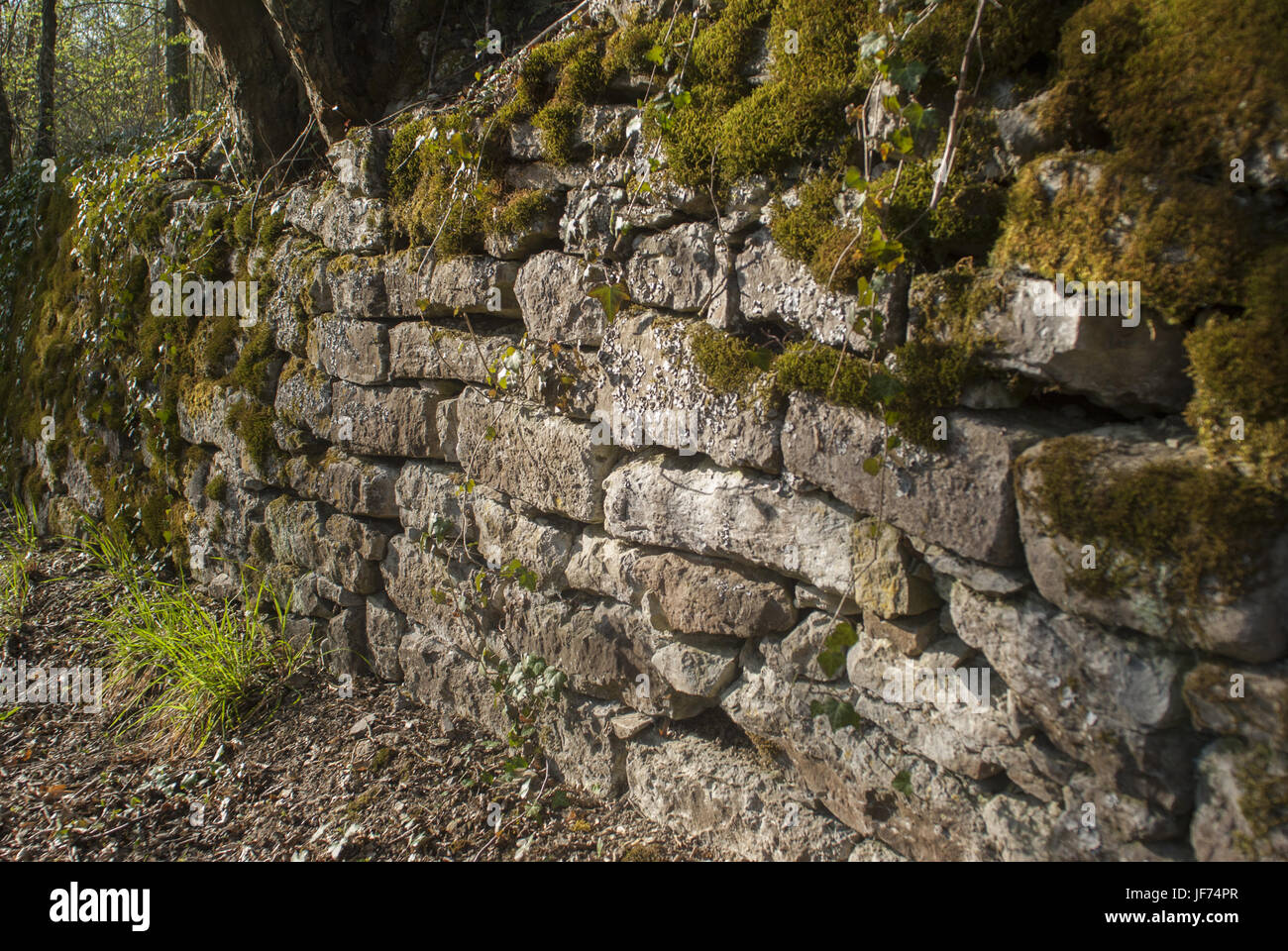 Asciugare la parete di pietra in Schwaebisch Hall, Germania Foto Stock
