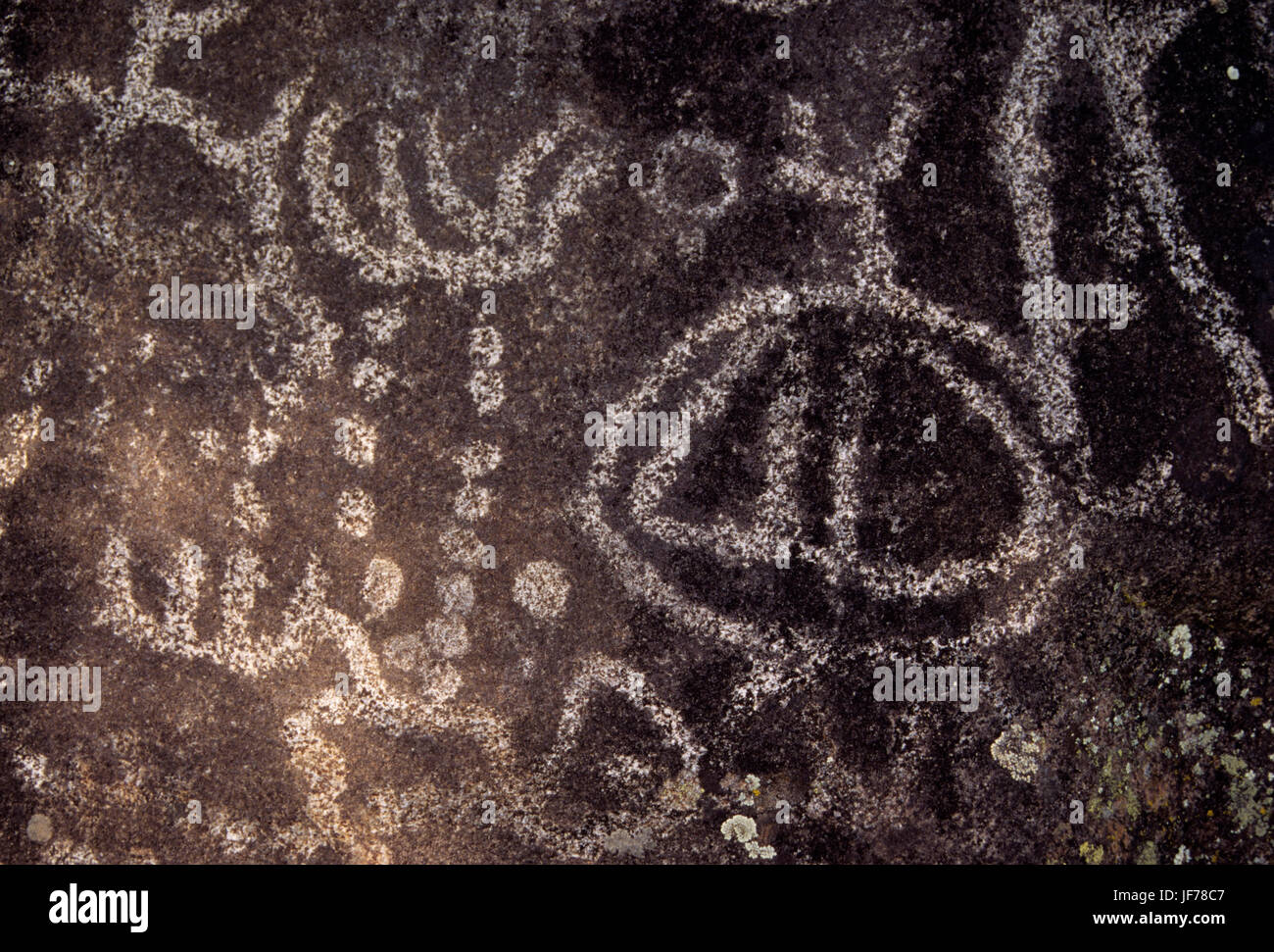 Petroglyphs-Mexican Hat Trail, Snake Wild e Scenic River, Hells Canyon National Recreation Area, Idahp Foto Stock