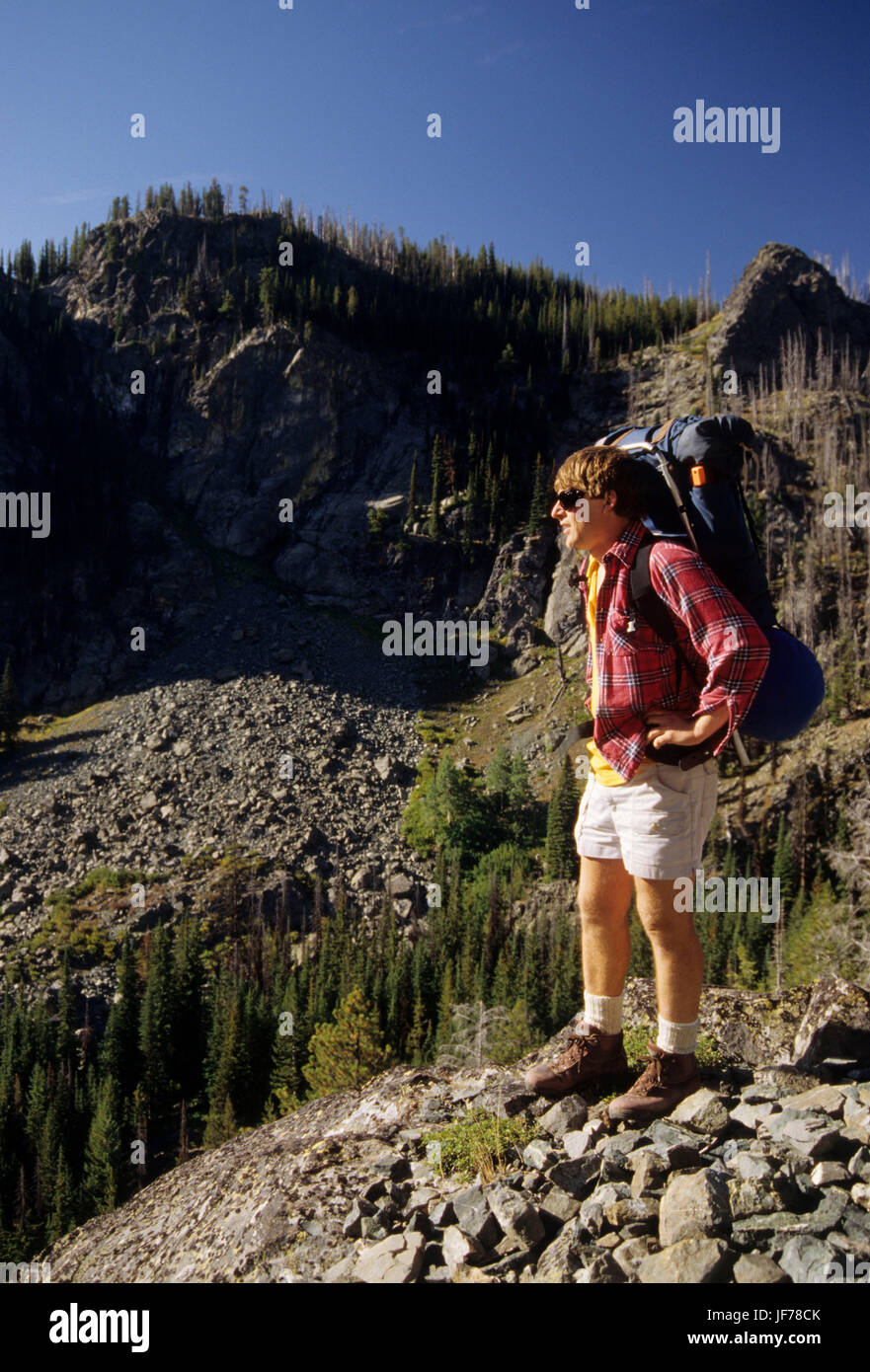 Pecore Creek drenaggio, Hells Canyon deserto, Hells Canyon National Recreation Area, Idaho Foto Stock