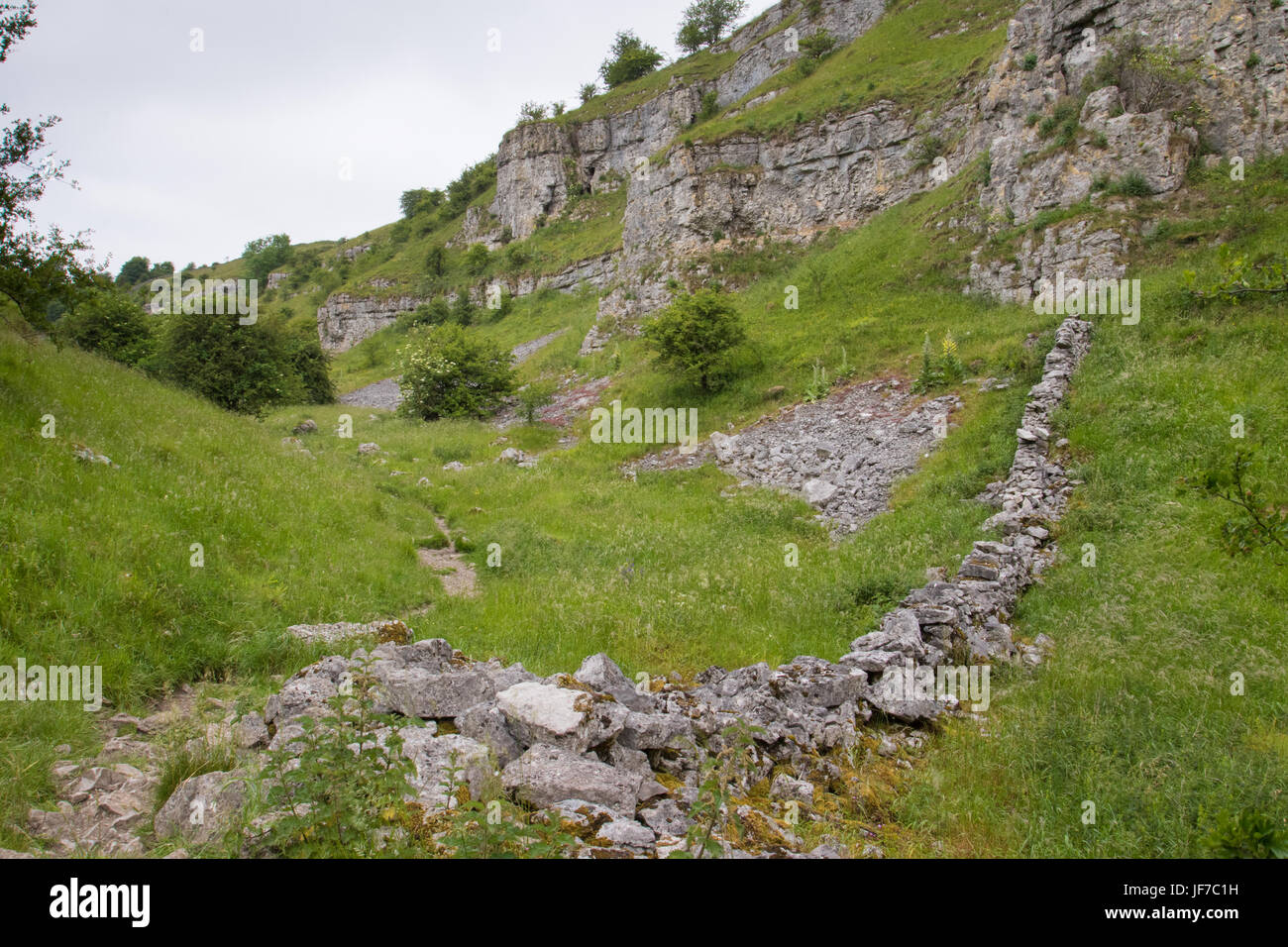 Stalattite parete in un vallone calcareo, Lathkill Dale, Parco Nazionale di Peak District, REGNO UNITO Foto Stock