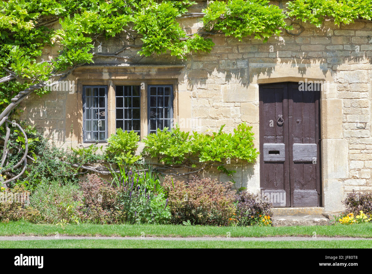 Il marrone scuro porte vecchie intraditional English casa di pietra con il glicine di arrampicata sulla parete, i fiori e le erbe in un piccolo giardino anteriore . Foto Stock