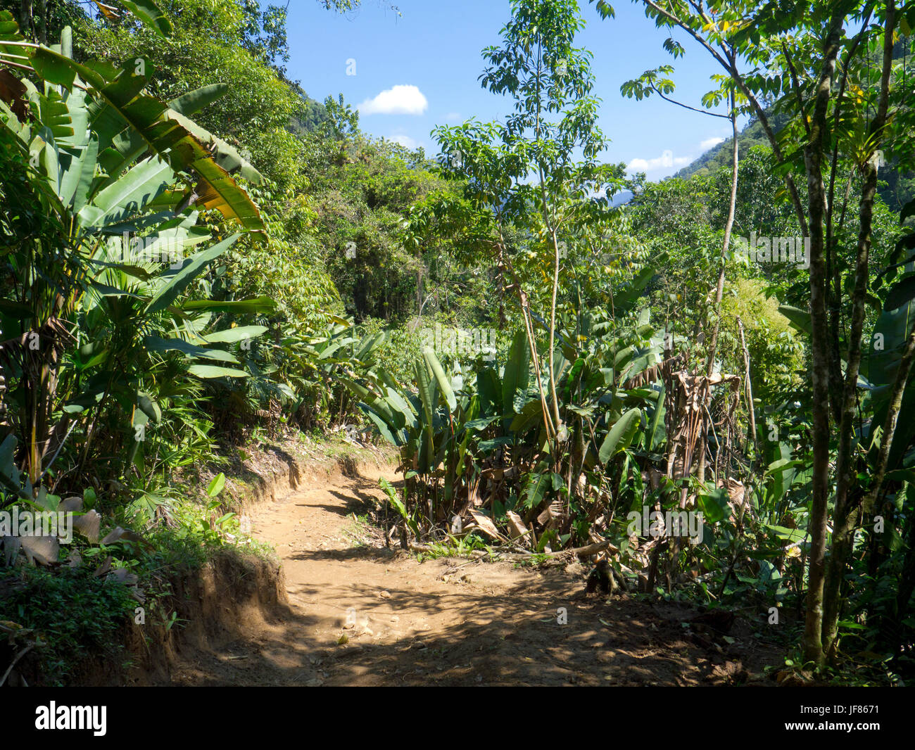Il trek per la città perduta, Sierra Nevada, la Colombia, il percorso Foto Stock