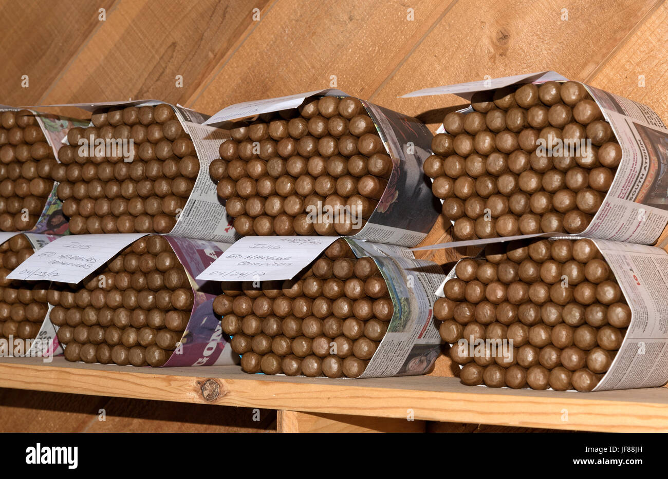 Cinquanta sigari premium avvolti in un giornale di imballaggio che contengono i sigari artigianali attendono la vendita su un ripiano. Ybor City FL USA Foto Stock