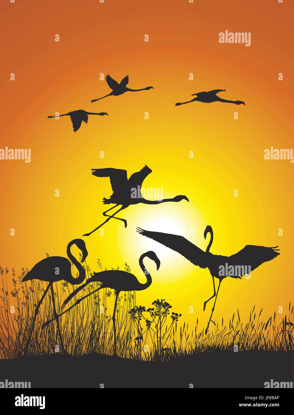 Animali, all'aperto, all'aperto, la fauna selvatica, vettore acquatica, la natura, la vita esiste, Illustrazione Vettoriale