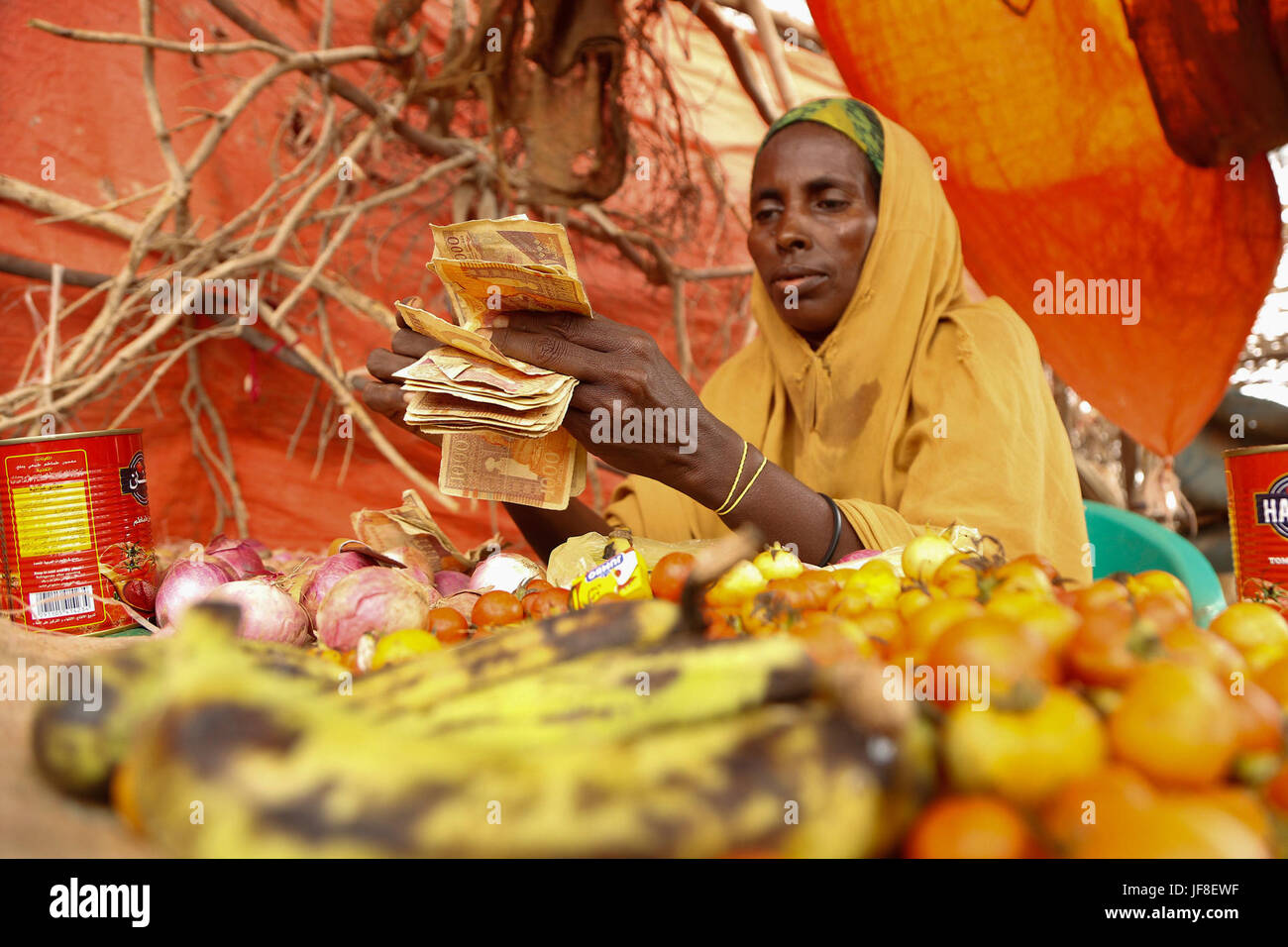 Halima Mohamed Hassan conta Scellino somalo presso il suo piccolo chiosco dove lei vende verdure a El-Jale Camp per gli sfollati interni in Beletweyne, Somalia il 28 aprile 2017. AMISOM Photol Foto Stock