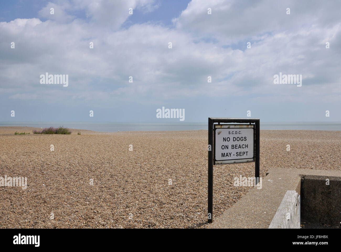 No cani sulla spiaggia di aldeburgh segno Foto Stock