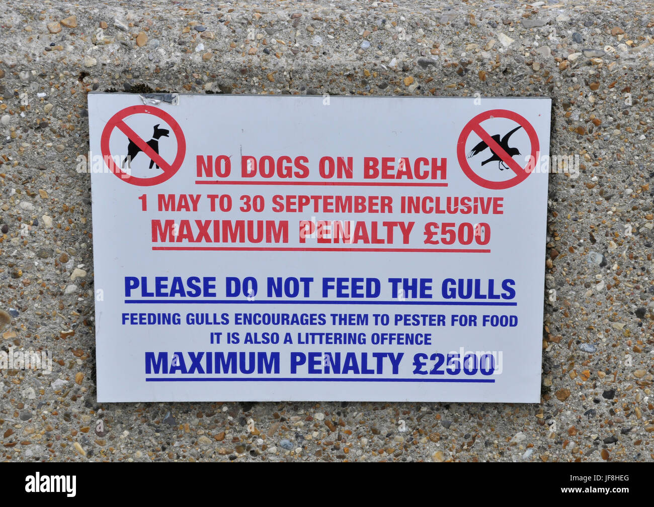 Nota penalità cani sulla spiaggia aldeburgh Foto Stock
