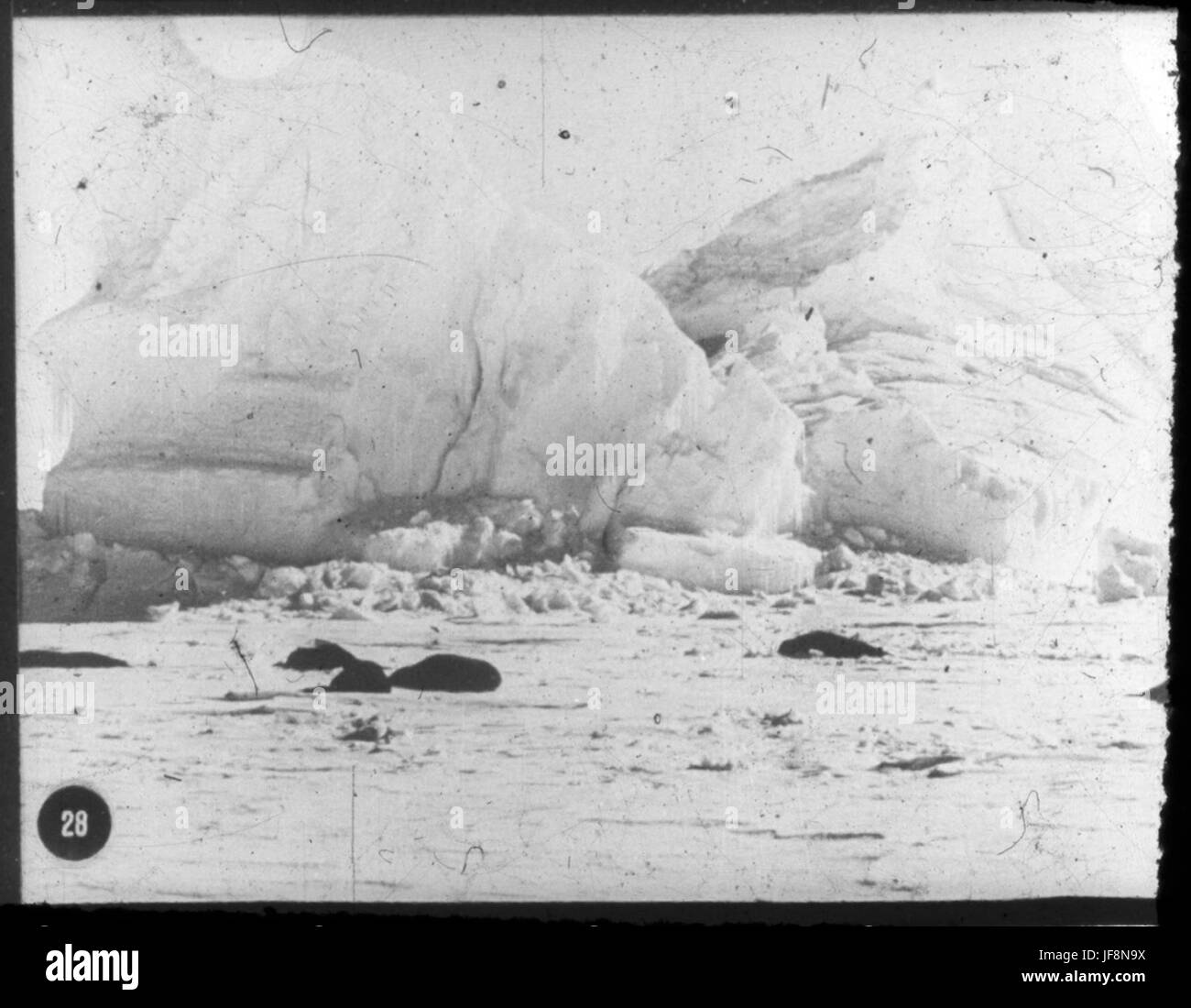 La Chiesa di Berg e le foche sono state catturate in un paesaggio drammatico, mostrando lo stupefacente contrasto della natura durante la spedizione Nazionale Antartica britannica all'inizio del XX secolo. Foto Stock