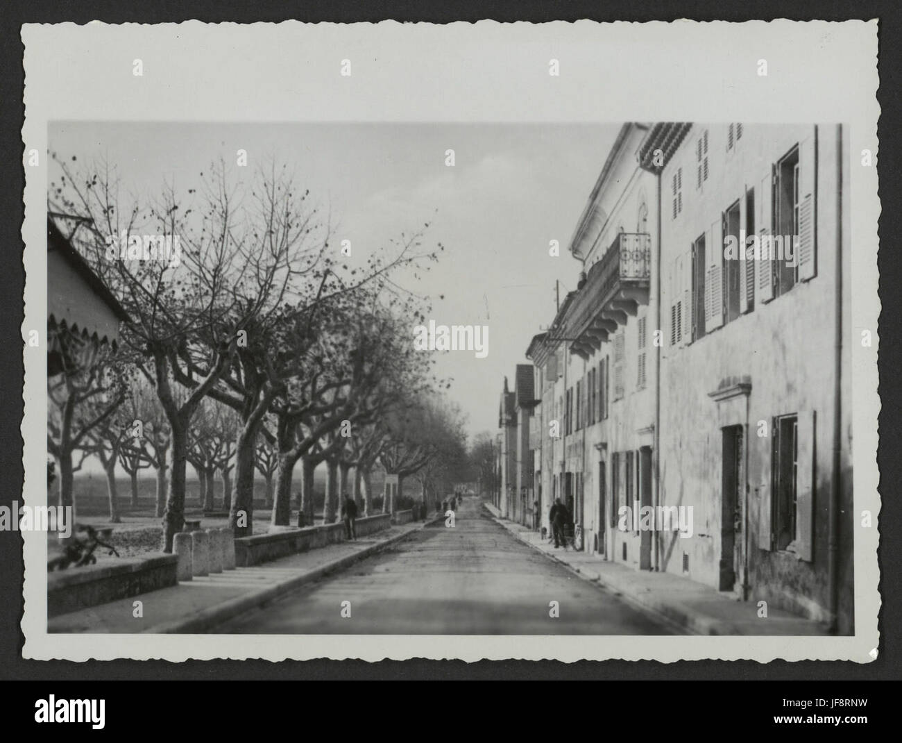 Una vista panoramica di una strada del villaggio a Drôme, Francia, fiancheggiata da platani, che mostra la vita rurale in una fotografia d'epoca. #Drome #FrenchVillage Foto Stock