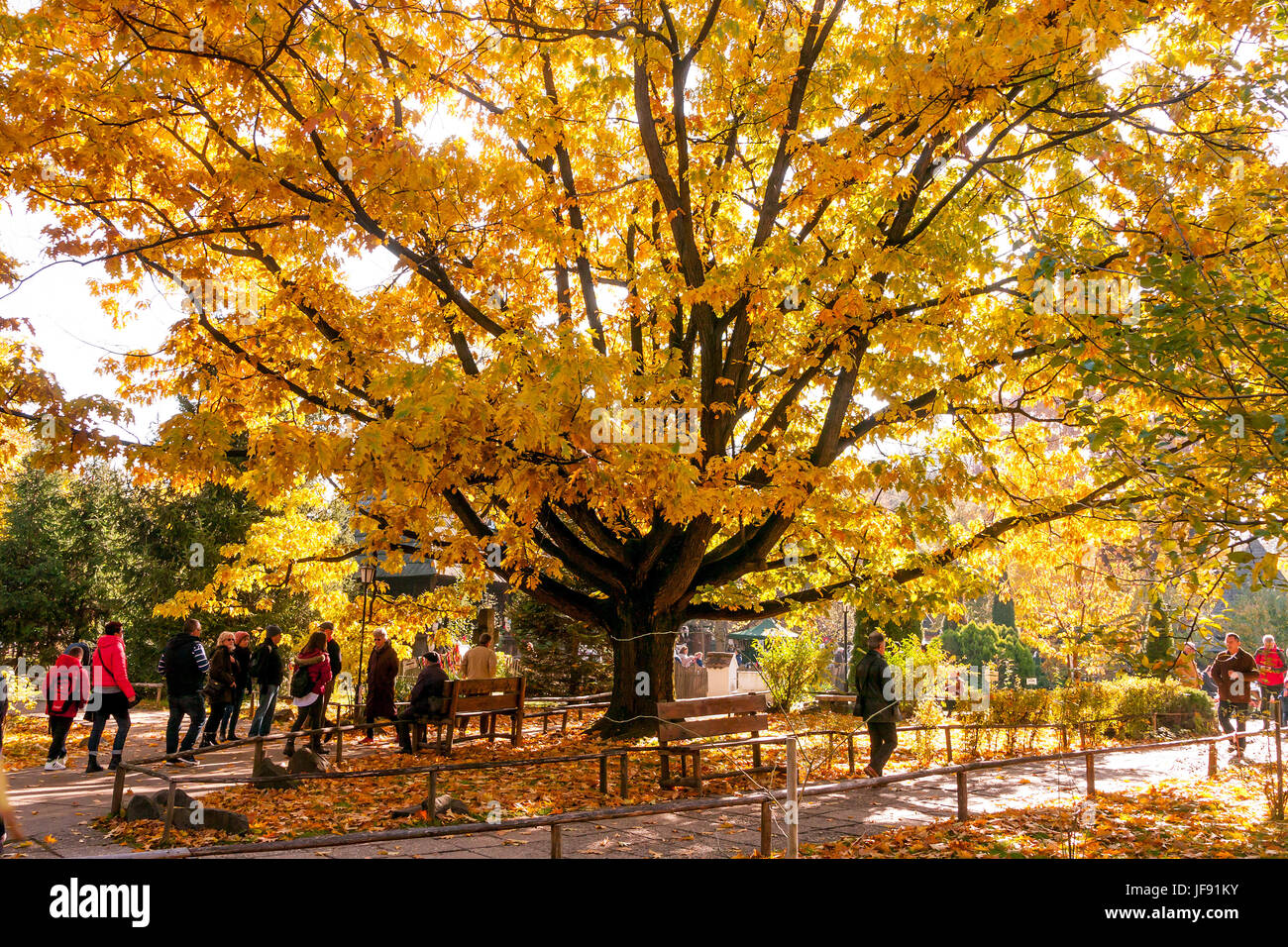 Visitatori godendo il colore di autunno nel vecchio villaggio rumeno museum di Bucarest Foto Stock