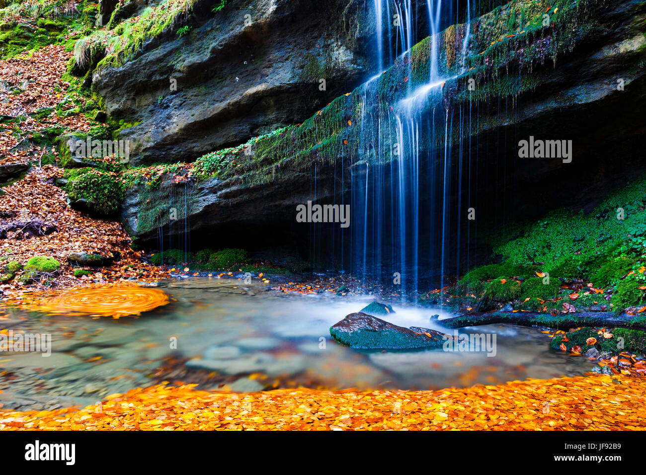 Sorgente del fiume e faggio le foglie in autunno. Foto Stock