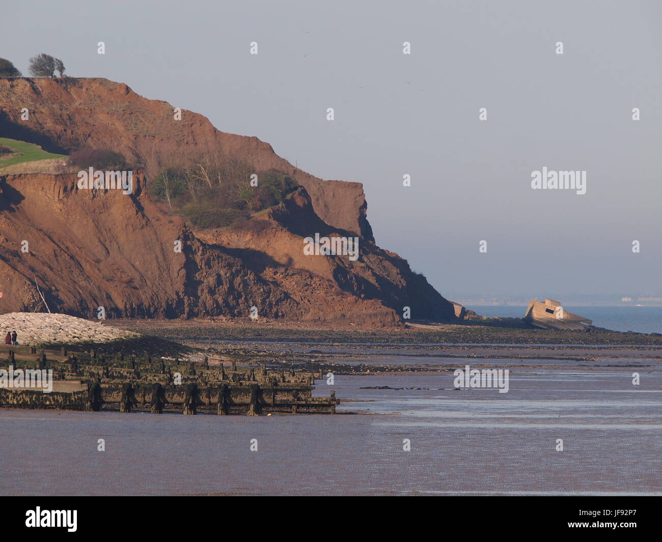 Scogliere a Warden Bay, Isle of Sheppey. Foto Stock