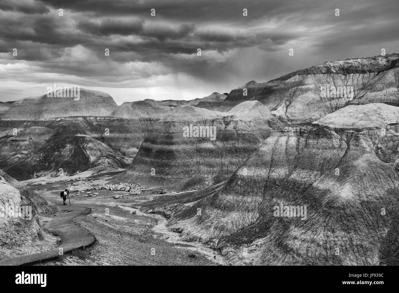 Un fotografo solitario sul Blue Mesa sentiero immerso tra le maestose mesas. In bianco e nero- Parco Nazionale della Foresta Pietrificata Foto Stock