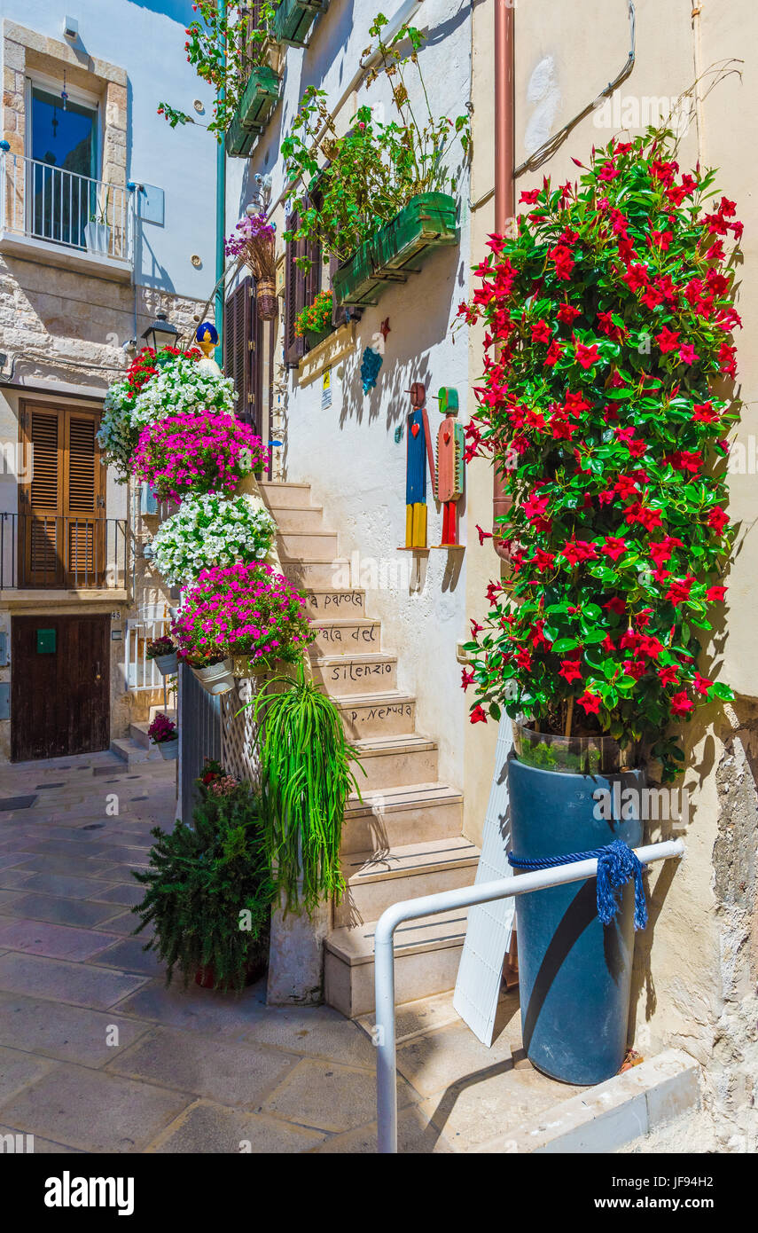 Polignano a Mare (Puglia, Italia) - La famosa città sul mare in provincia di Bari, Italia meridionale. Il borgo sorge su sperone roccioso sul mare Adriatico Foto Stock