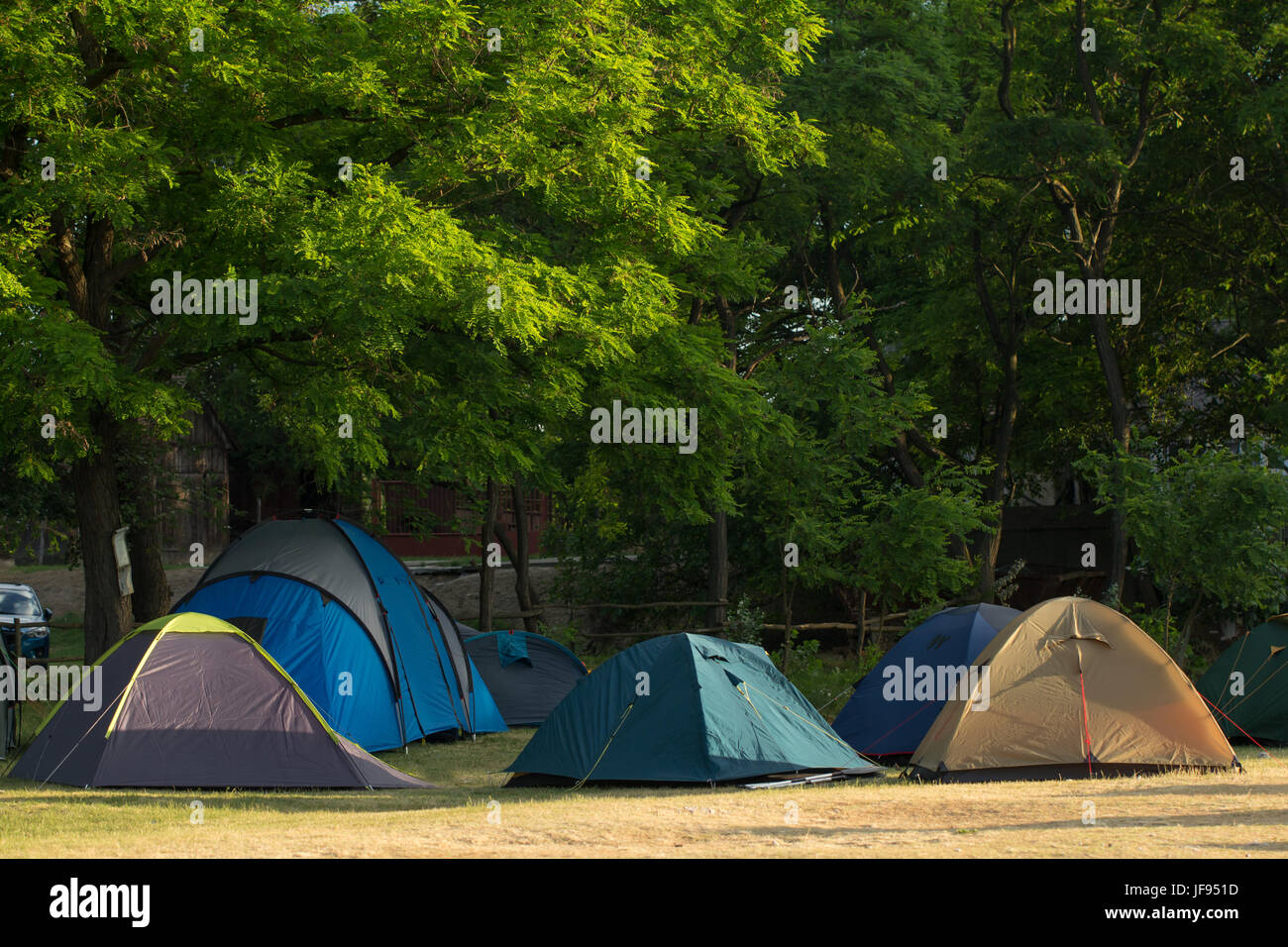 Tourist tende in forest camp Foto Stock