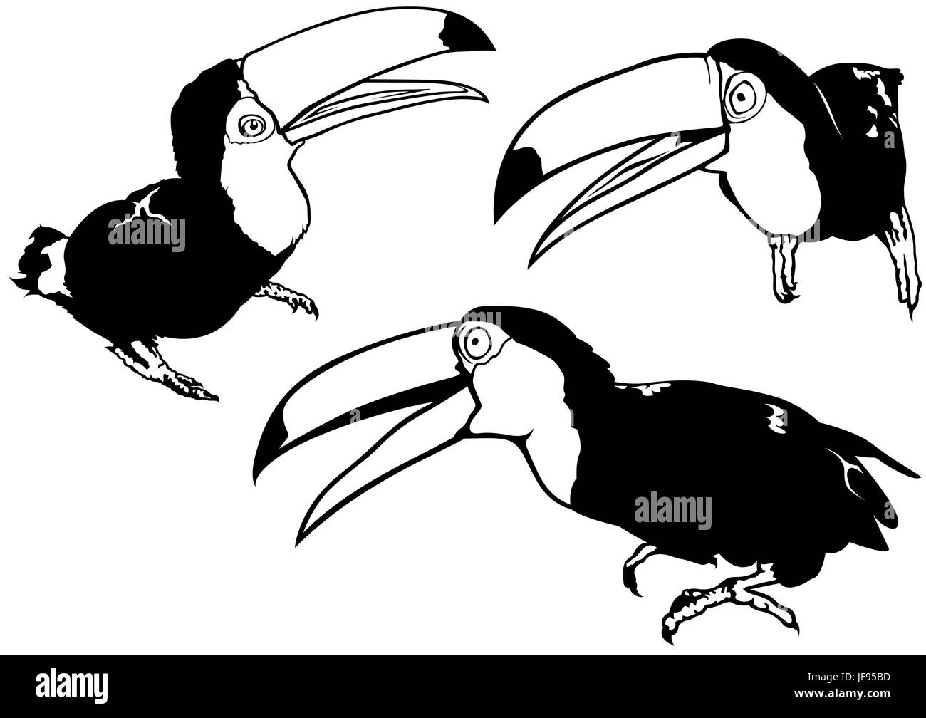 Set di Toucan Illustrazione Vettoriale