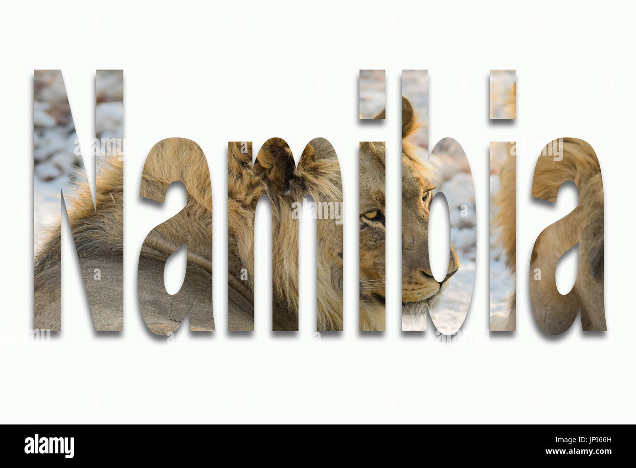 Africa e animali selvatici in un font Foto Stock