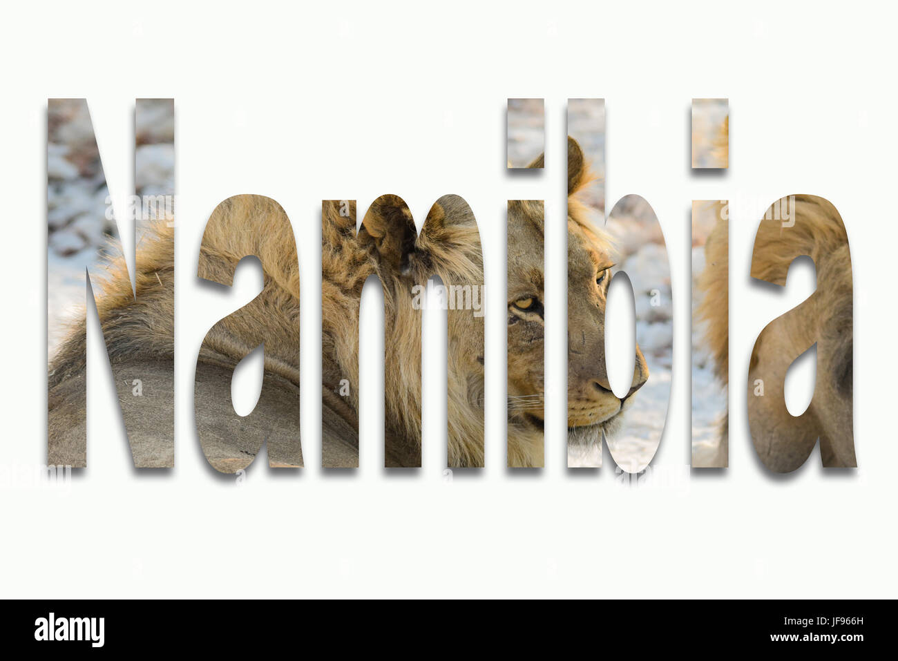 Africa e animali selvatici in un font Foto Stock Africa e animali selvatici in un font Foto Stock