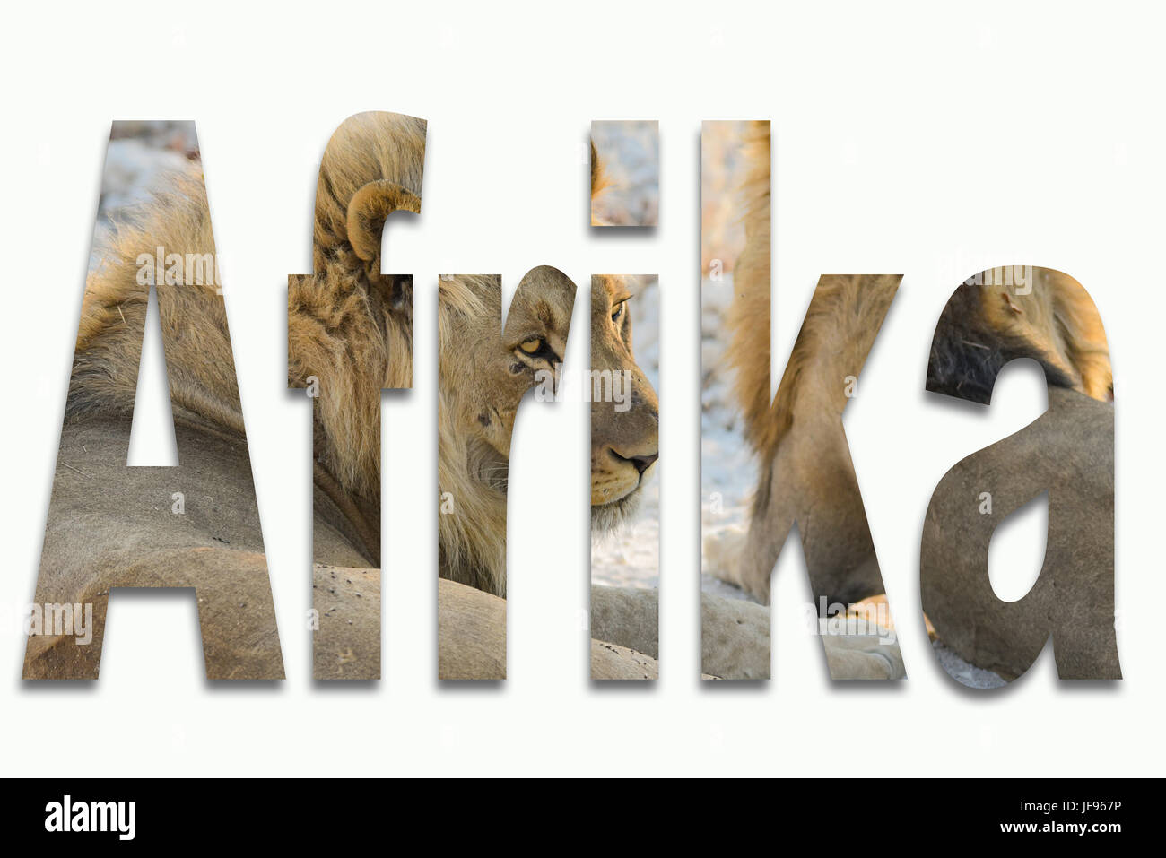 Africa e animali selvatici in un font Foto Stock Africa e animali selvatici in un font Foto Stock