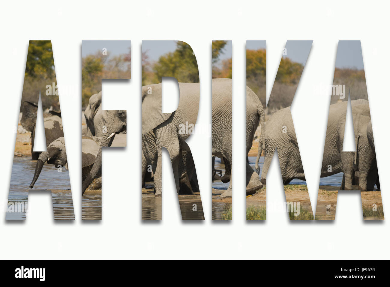 Africa e animali selvatici in un font Foto Stock Africa e animali selvatici in un font Foto Stock