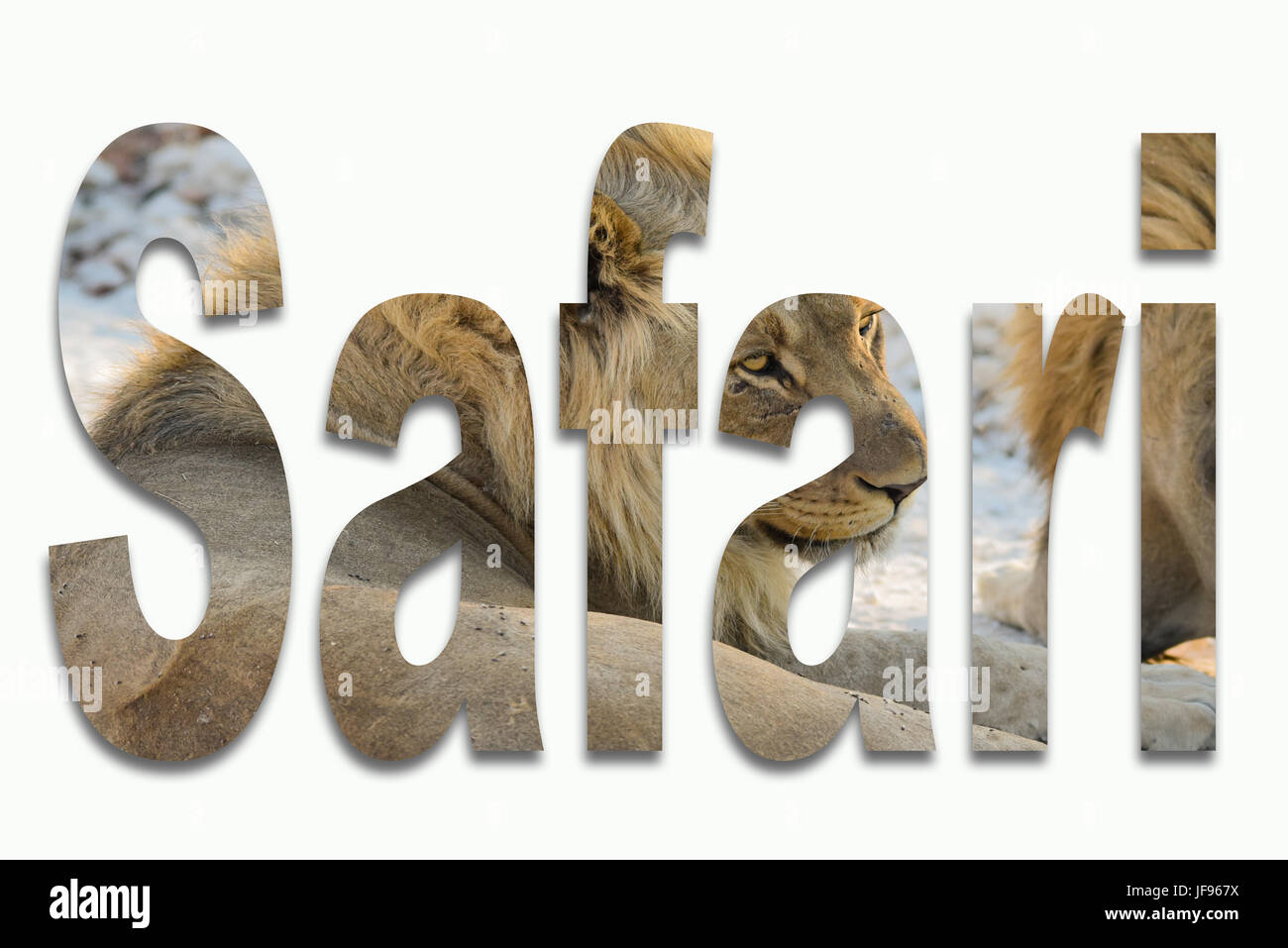 Africa e animali selvatici in un font Foto Stock Africa e animali selvatici in un font Foto Stock