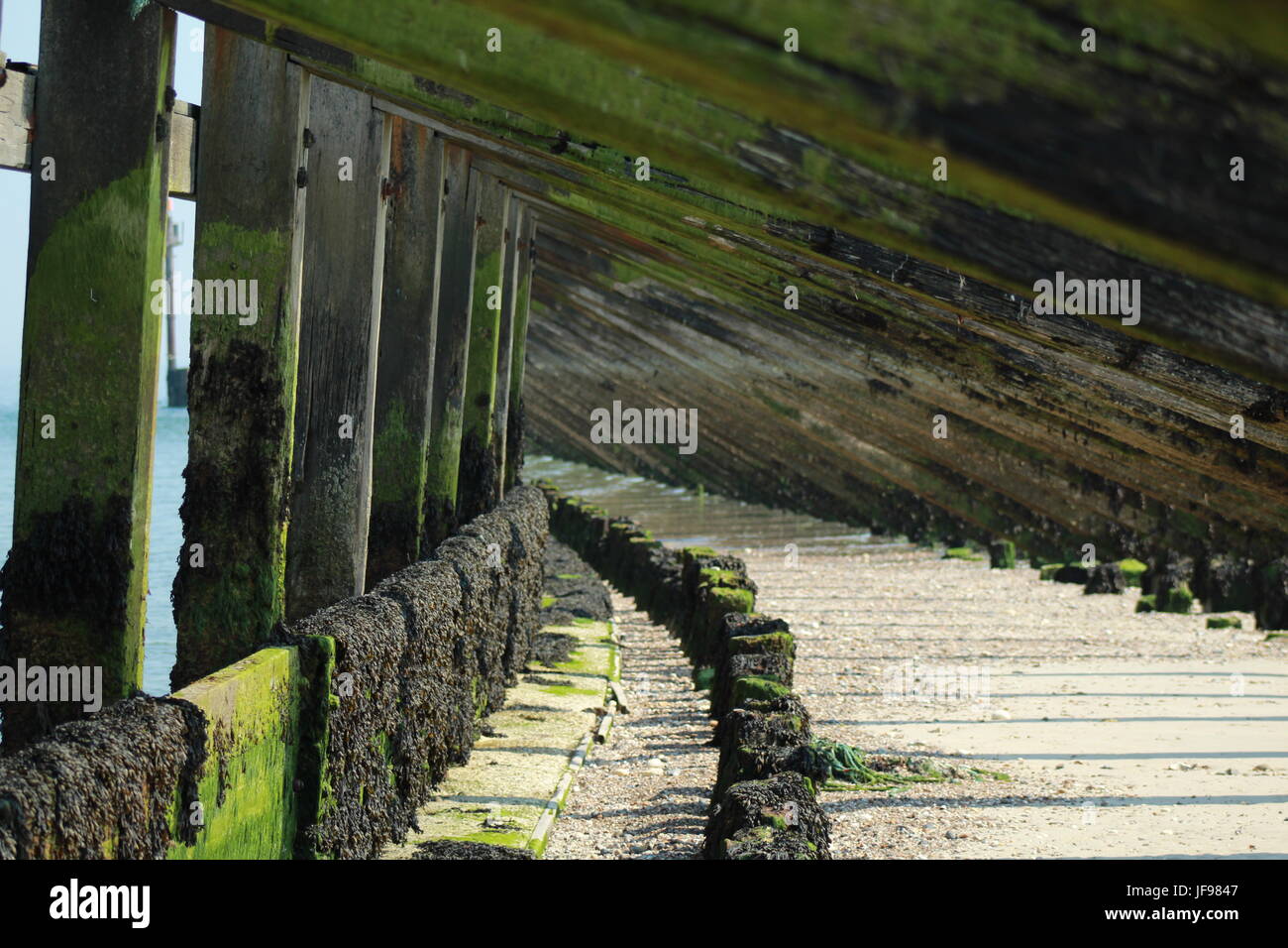 Sotto l'acqua di pausa Foto Stock