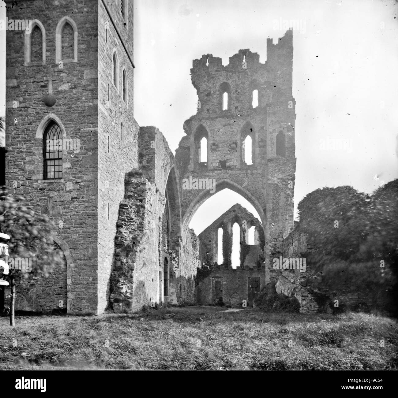 Rovine della Chiesa con gli archi a sesto acuto è la Cattedrale di Kildare 34599374861 o Foto Stock