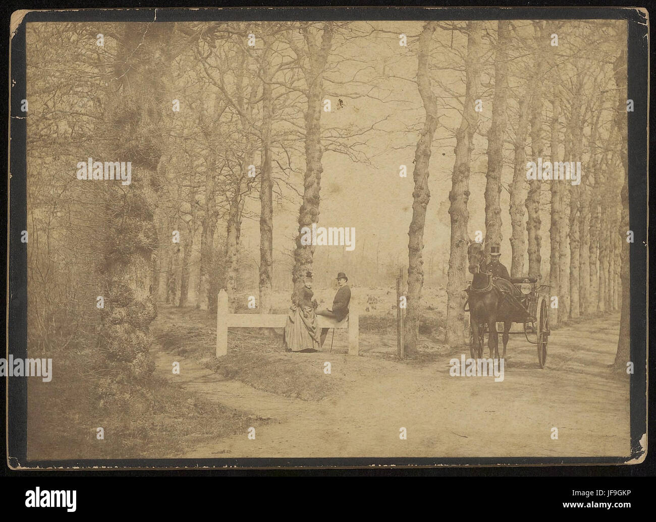 Un dipinto d'epoca raffigurante una carrozza trainata da cavalli con un cocchiere, che mostra l'eleganza dei mezzi di trasporto storici. Foto Stock