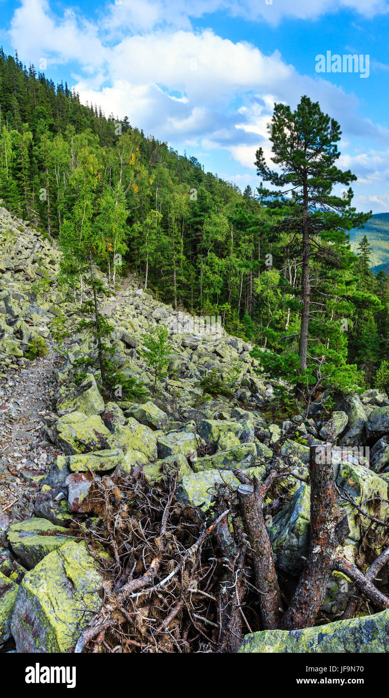 Estate Mountain View (Carpazi, Ucraina). Foto Stock