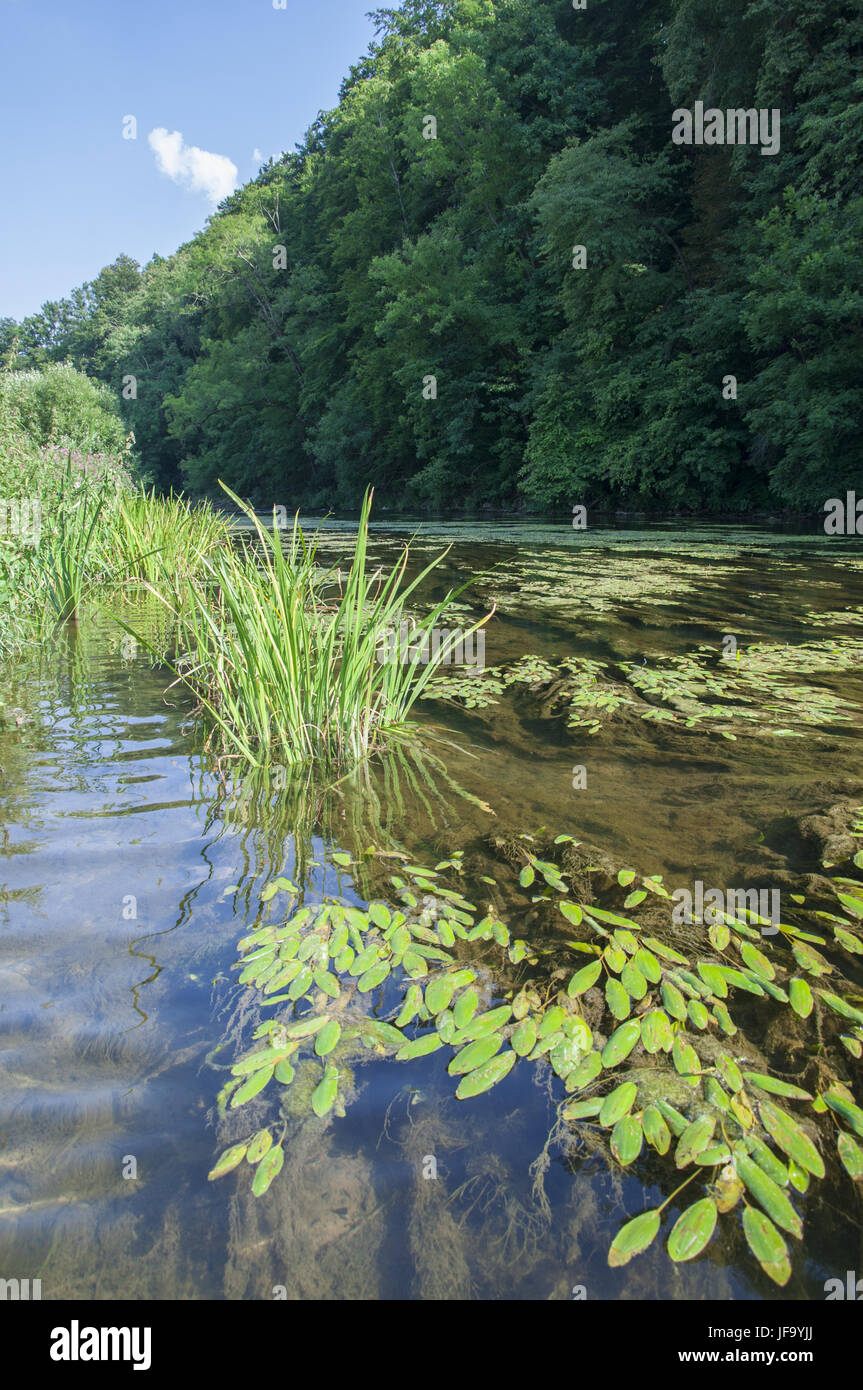 Fiume Jagst vicino a Kirchberg, Germania Foto Stock