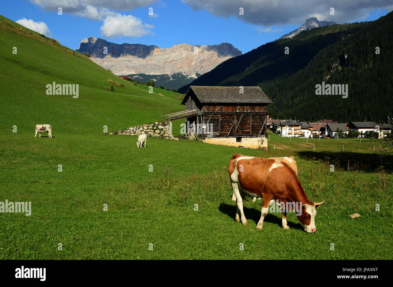 Alpi, Dolomiti, Italia, Europa, Sud Tirolo, Foto Stock
