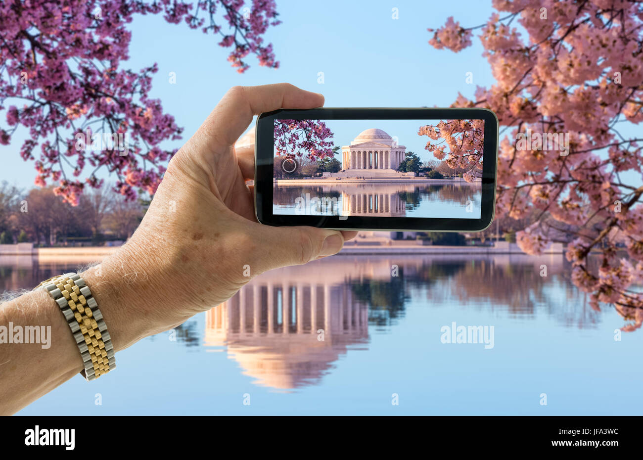 Istantanea dei fiori di ciliegio in Washington DC Foto Stock