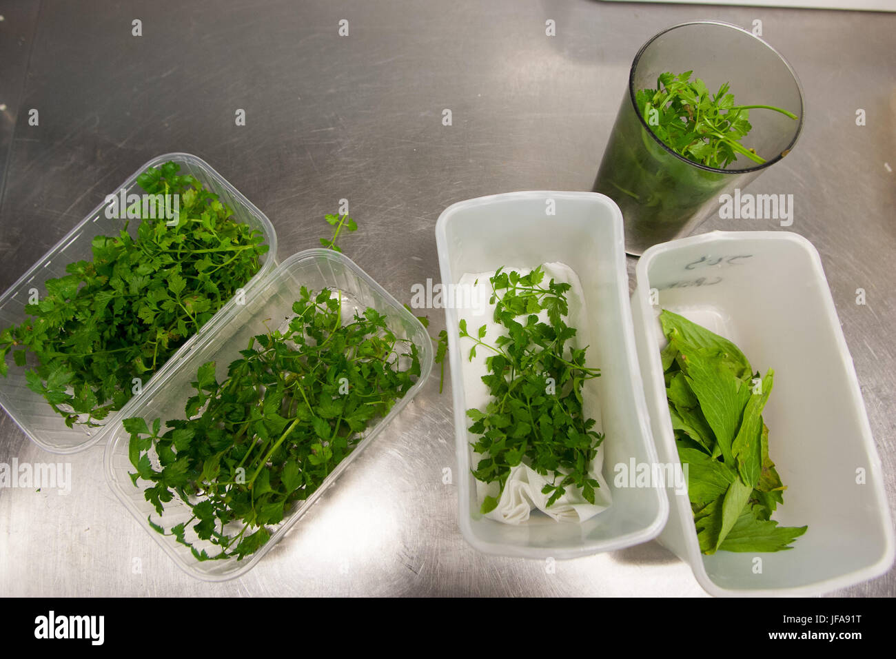 Ristorante Senderens, Alain Senderens (2 dicembre 1939 - 25 giugno 2017) è stato un leader francese chef e praticante di Nouvelle Cuisine. Le Figaro accreditato come inventore di cibo e vino abbinamenti. Foto Stock