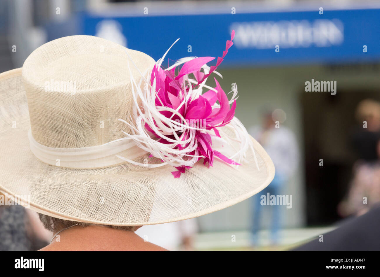 Henley Royal Regatta, Henley on Thames, Oxon, Regno Unito. Il 30 giugno, 2017. Cappelli sono in mostra per un altro giorno pieno di sole asciutto a Henley Regatta. Regno Unito meteo. Credito: Allan Staley/Alamy Live News Foto Stock