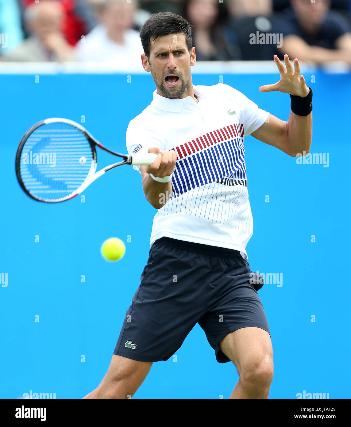 Eastbourne, Regno Unito. Il 30 giugno, 2017. Novak Djokovic di Serbia in azione contro il russo Daniil Medvedev della Russia in semi finale durante il giorno sei del Aegon International Eastbourne il 30 giugno 2017 a Eastbourne, Inghilterra Credito: Paolo Terry foto/Alamy Live News Foto Stock