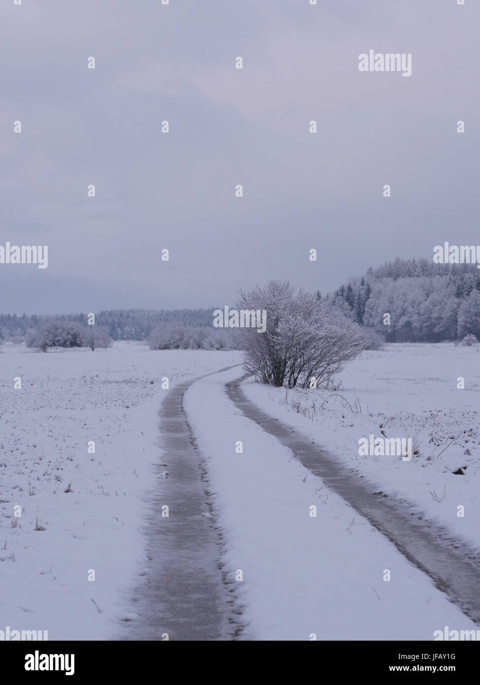 Strada invernale con auto tracce nella Foresta Campagna Foto Stock