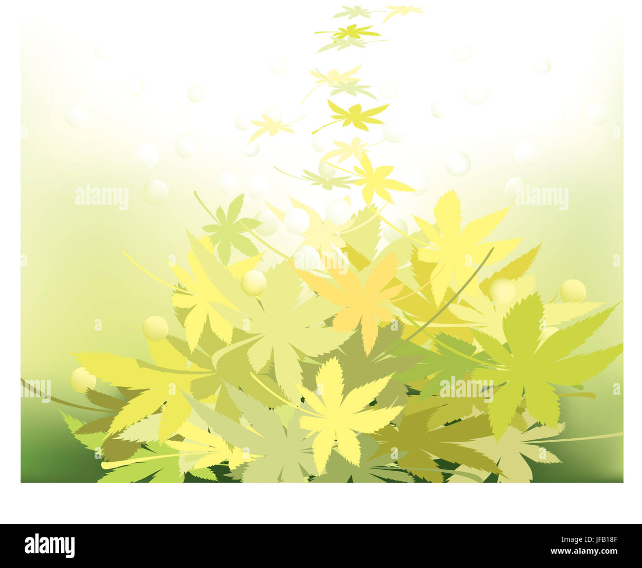 In autunno le foglie di acero con diverse tonalità di colori Foto Stock