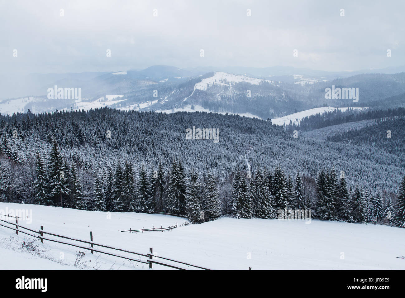 Stazione sciistica Bukovel, Ucraina. Foto Stock